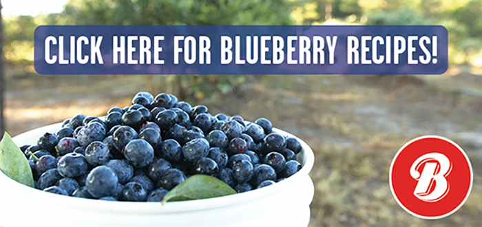 An image of blueberries with the text " Click here for blueberry recipes!" 