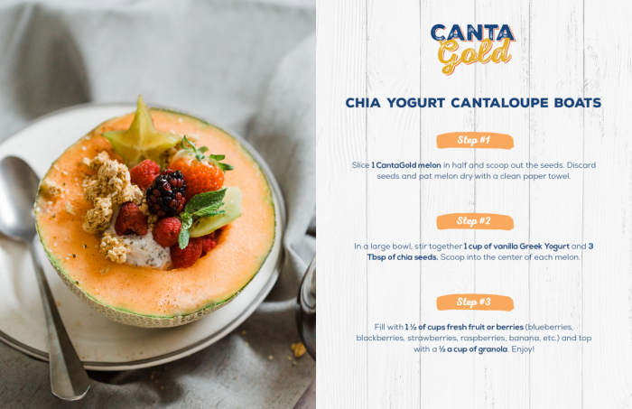 Chia Yogurt Cantaloupe Boats