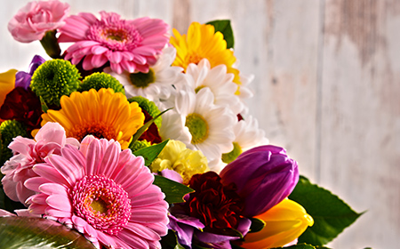 floral: flowers speak louder than words