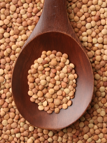 A wooden spoon full of lentils